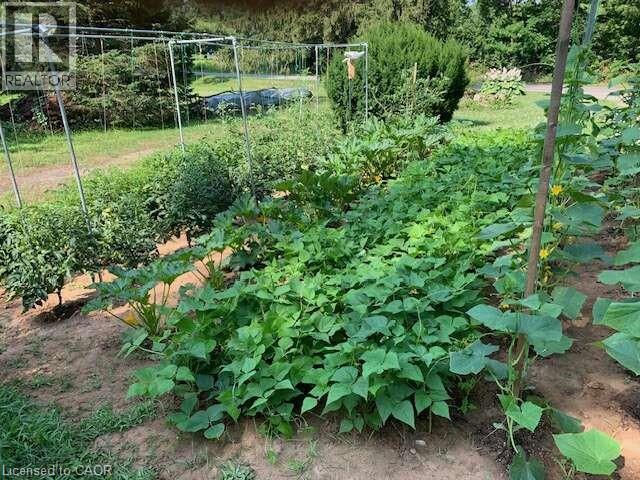 1109 Effingham Street, Pelham, Ontario  L0S 1C0 - Photo 9 - 40813996