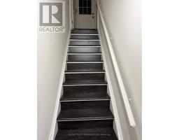 BASEMENT - 16 EDINBURGH DRIVE, Brampton, Ontario
