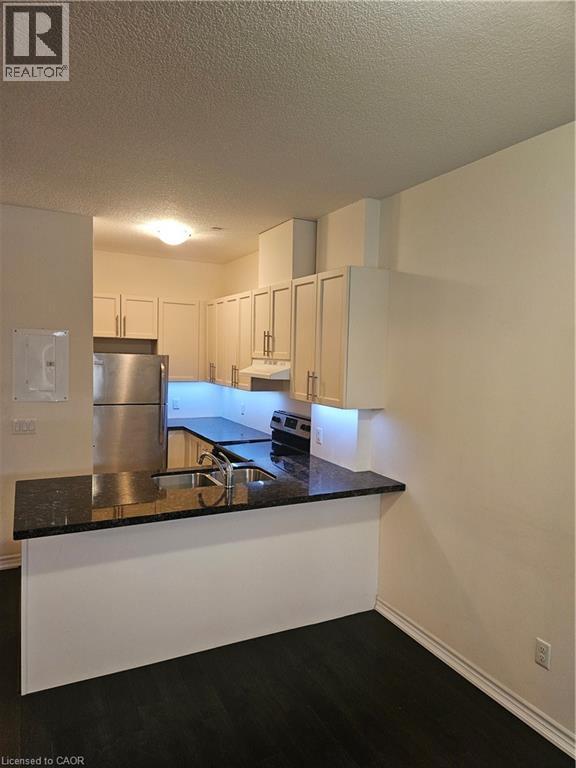 95 Wilson Street W Unit# 106, Hamilton, Ontario  L9G 1N1 - Photo 4 - 40813751