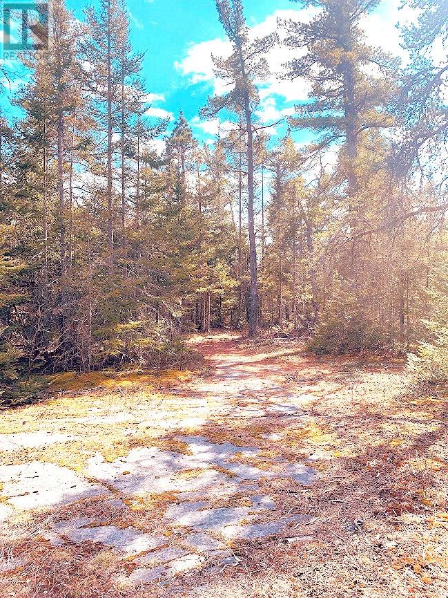 494 Walkhouse Road, Silver Water, Ontario  P0P 1Y0 - Photo 24 - 2126874