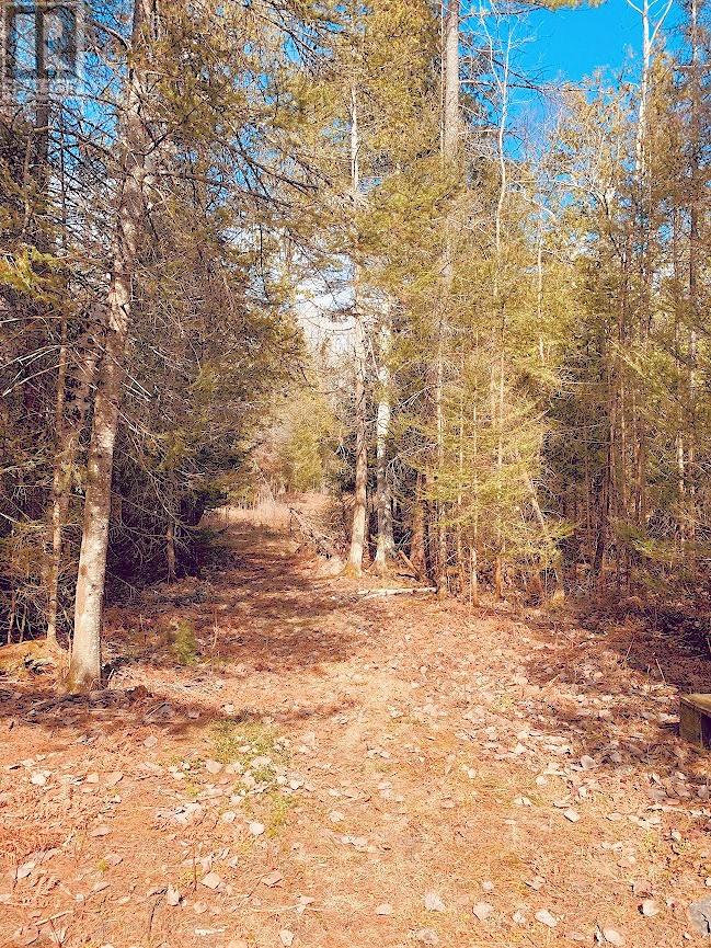 494 Walkhouse Road, Silver Water, Ontario  P0P 1Y0 - Photo 28 - 2126874