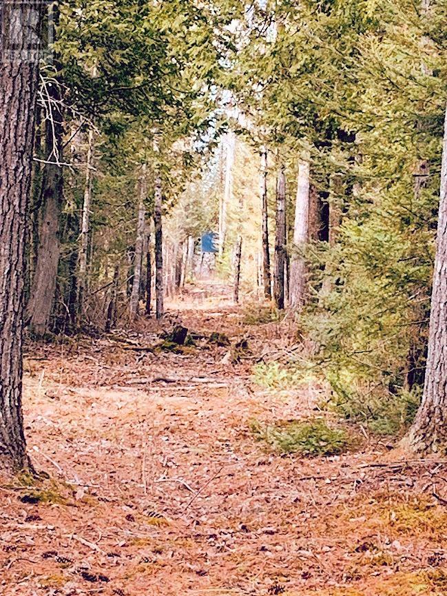 494 Walkhouse Road, Silver Water, Ontario  P0P 1Y0 - Photo 33 - 2126874