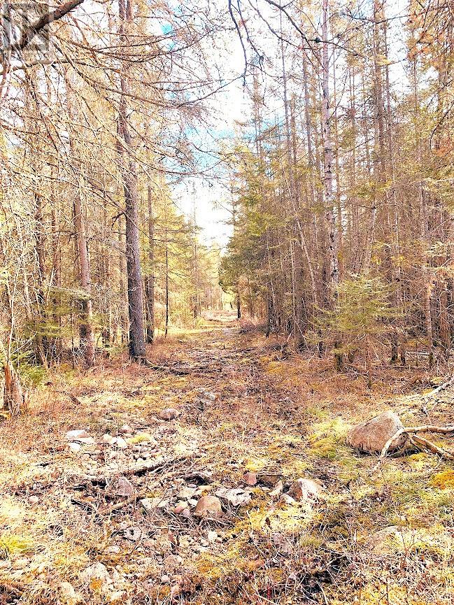 494 Walkhouse Road, Silver Water, Ontario  P0P 1Y0 - Photo 37 - 2126874