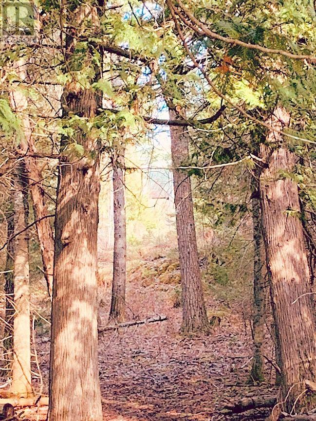 494 Walkhouse Road, Silver Water, Ontario  P0P 1Y0 - Photo 38 - 2126874