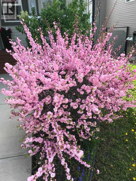 148 Hawkmere Way, Chestermere, Alberta  T1X 0C8 - Photo 48 - A2294598