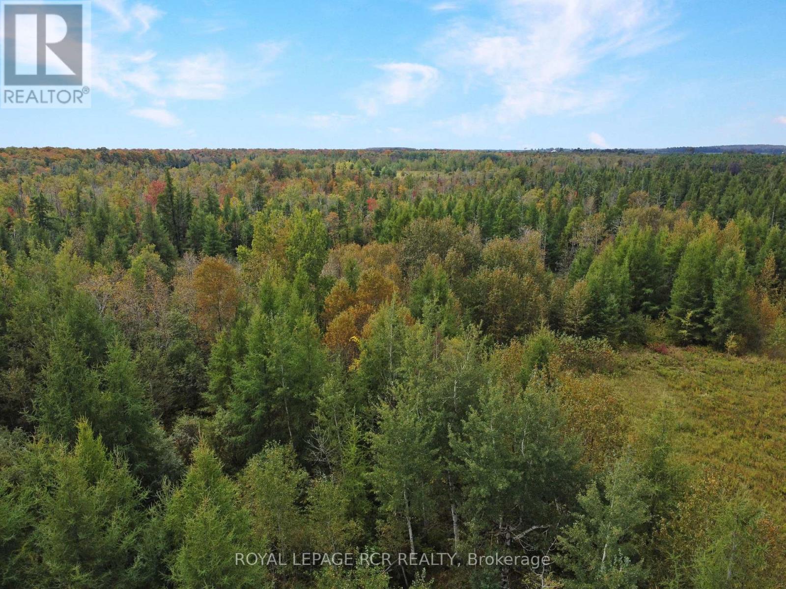 1125xx Grey Road 14 Road, Southgate, Ontario  N0C 1B0 - Photo 3 - X12906780