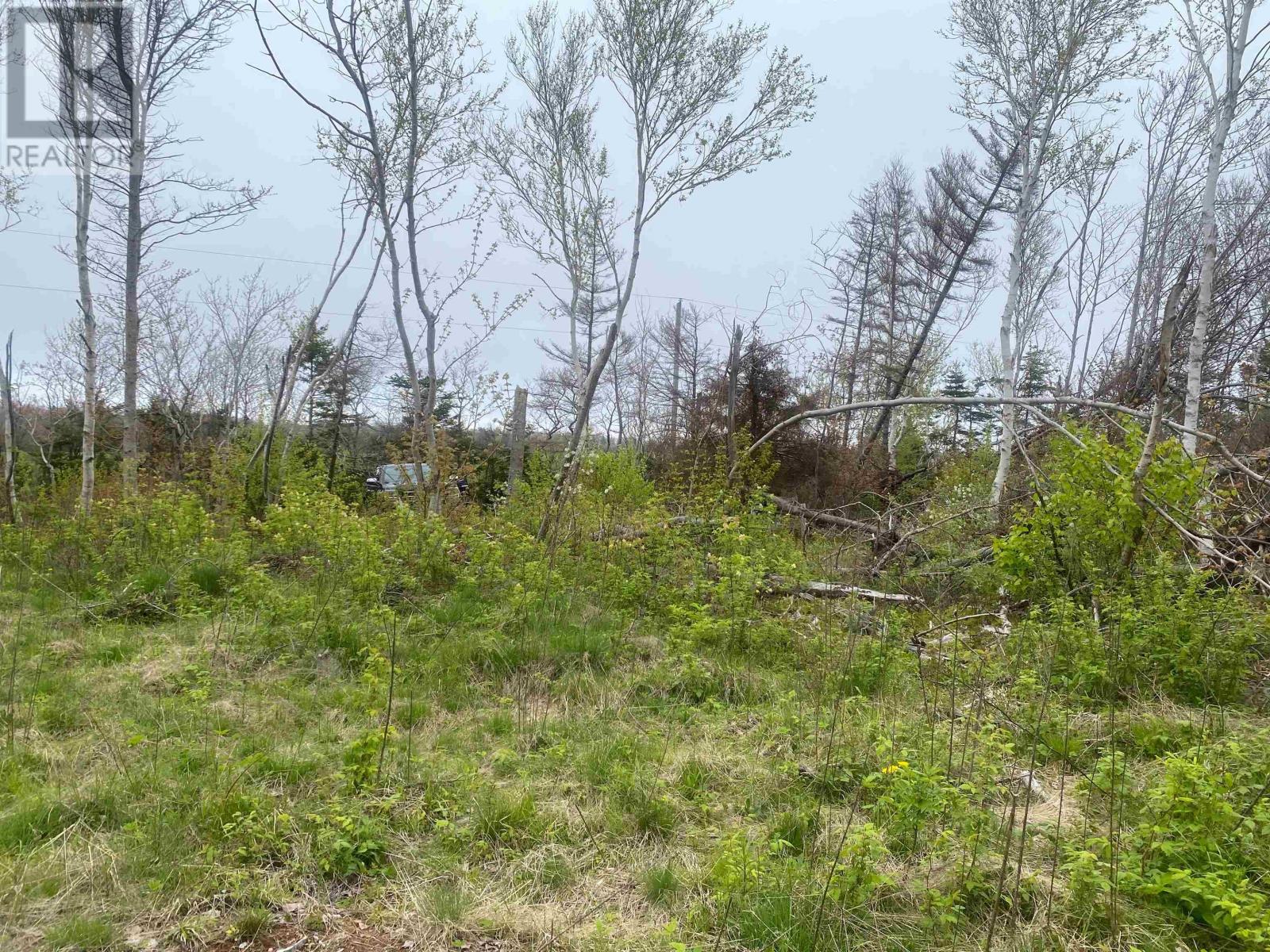 Lot Cape Road, North Rustico, Prince Edward Island