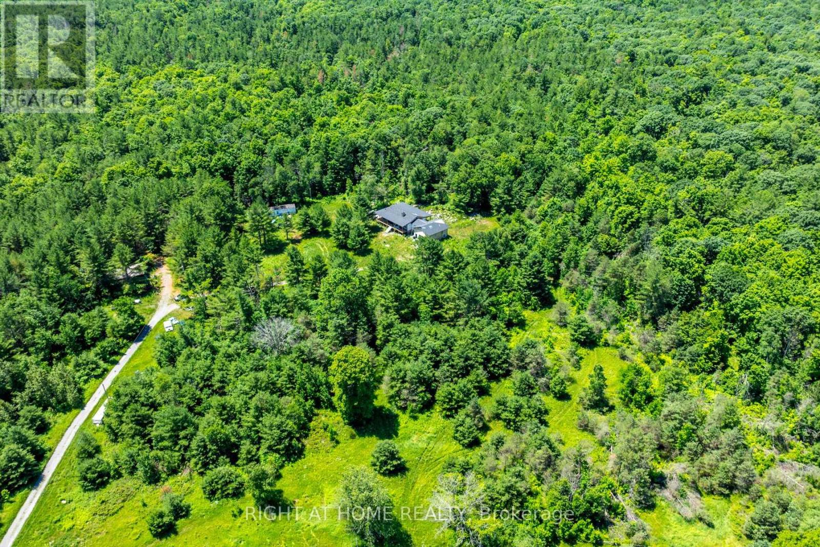 1662 County Road 40 Road, Douro-Dummer, Ontario  K0L 2V0 - Photo 29 - X12173628