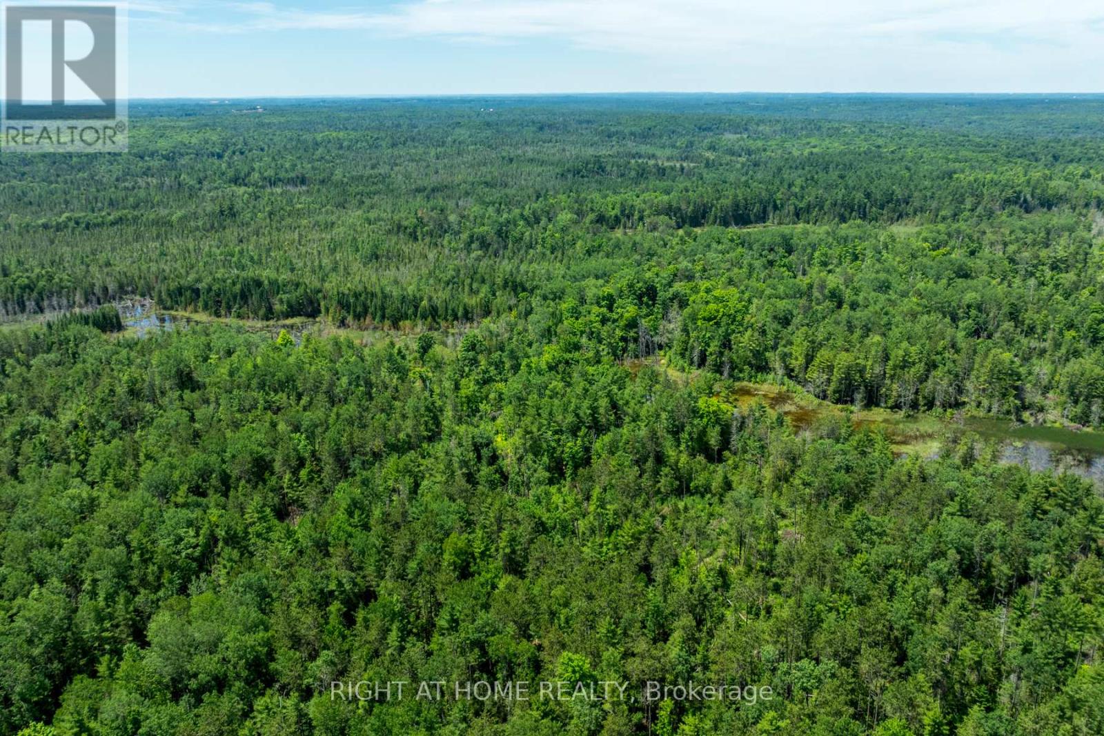 1662 County Road 40 Road, Douro-Dummer, Ontario  K0L 2V0 - Photo 33 - X12173628