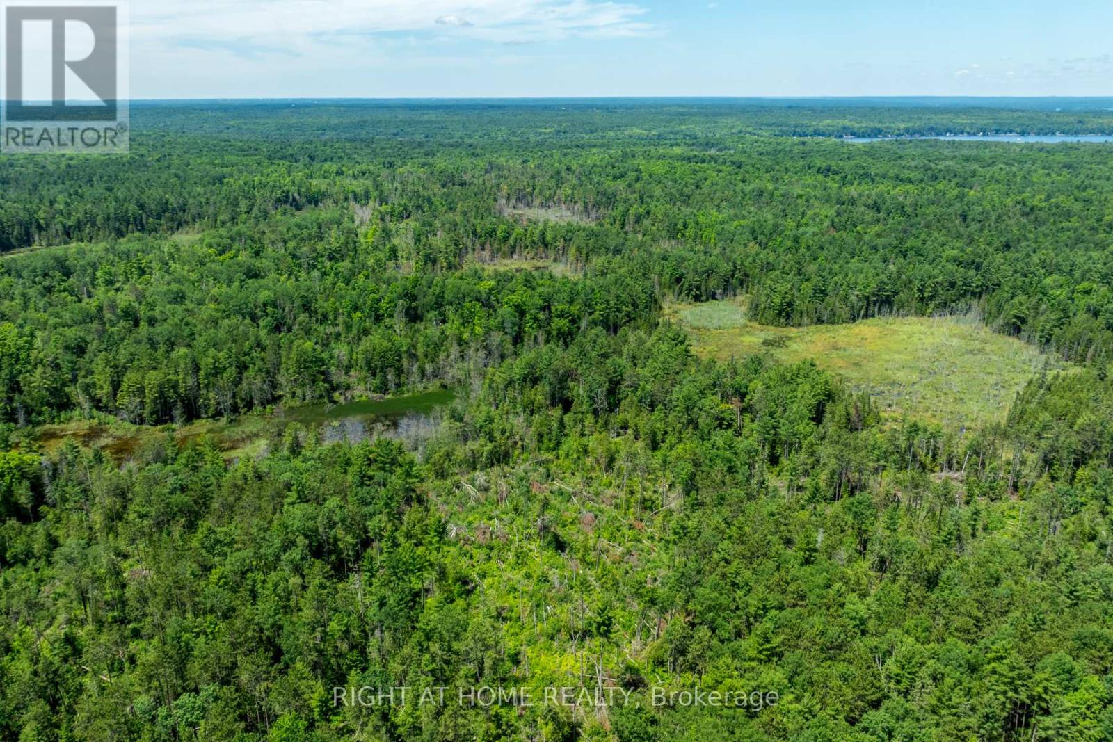 1662 County Road 40 Road, Douro-Dummer, Ontario  K0L 2V0 - Photo 32 - X12173628