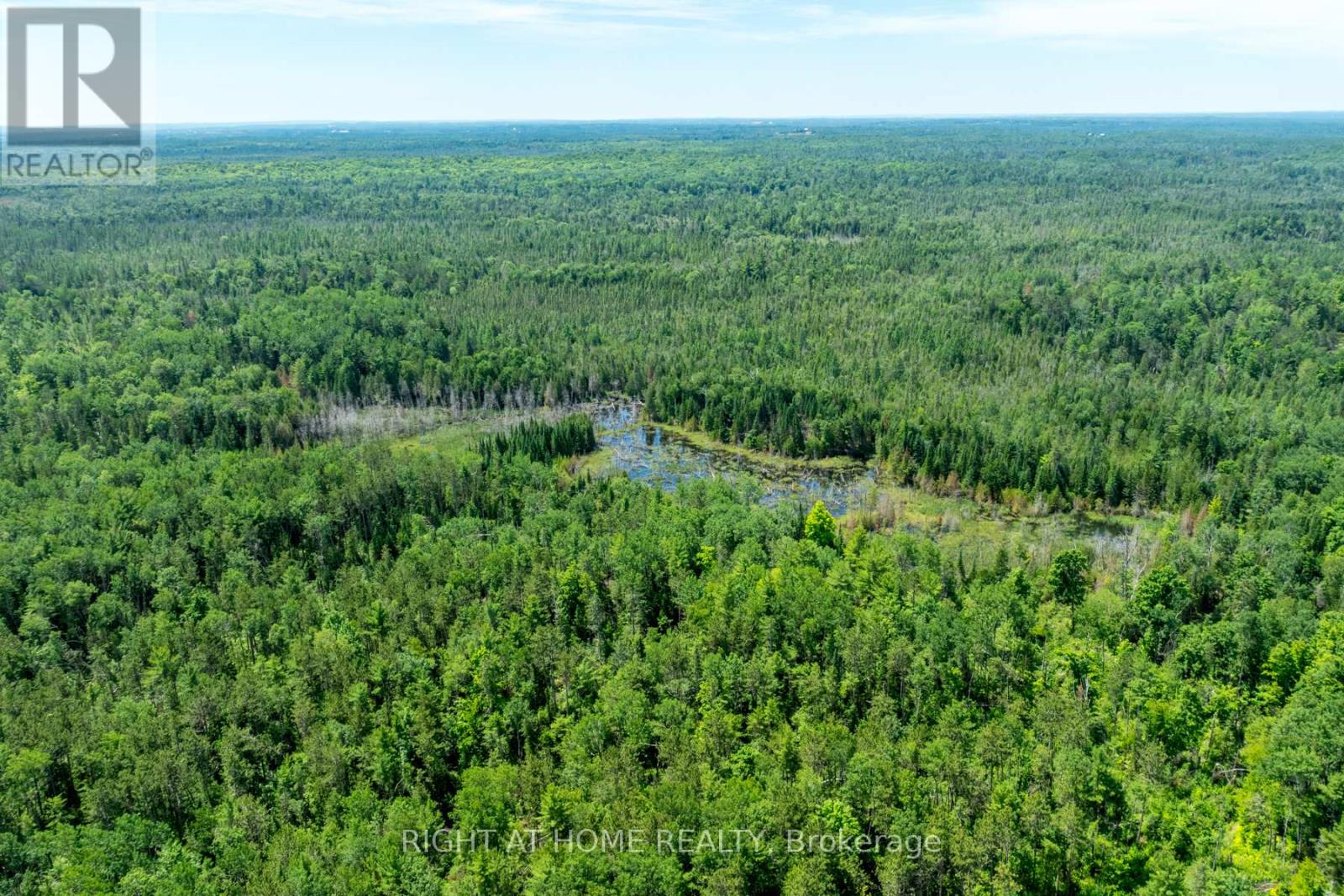 1662 County Road 40 Road, Douro-Dummer, Ontario  K0L 2V0 - Photo 35 - X12173628