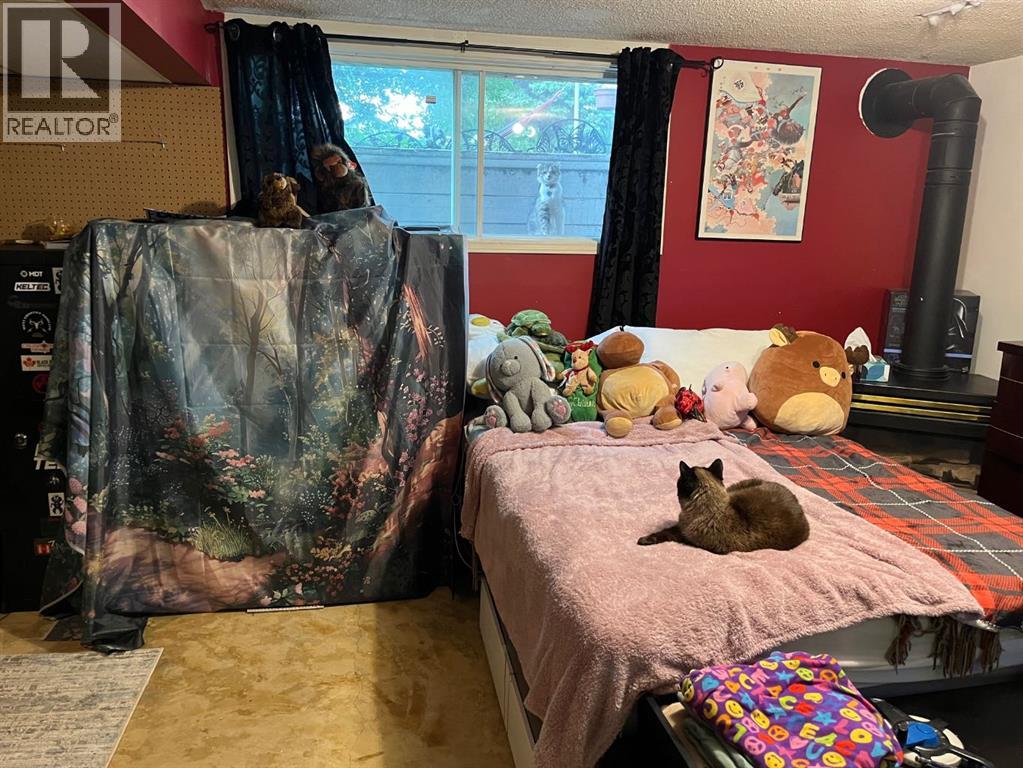 4833 47 Street, Rocky Mountain House, Alberta  T4T 1A6 - Photo 16 - A2279708