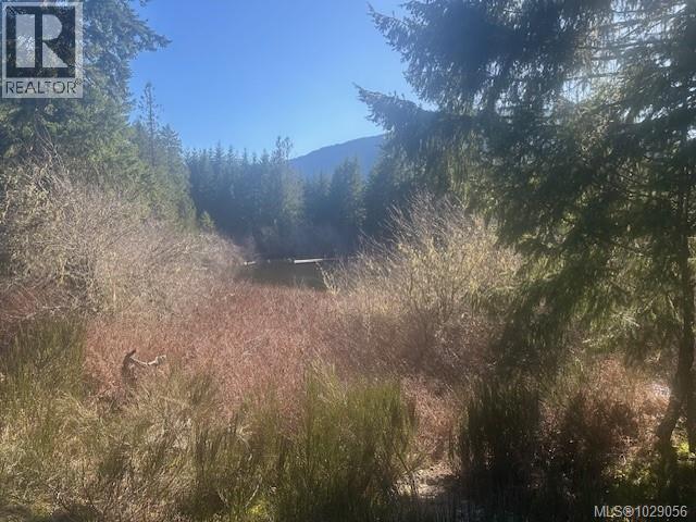 Block 200 Hudgrove Rd, Lake Cowichan, British Columbia  V0R 2G0 - Photo 4 - 1029056
