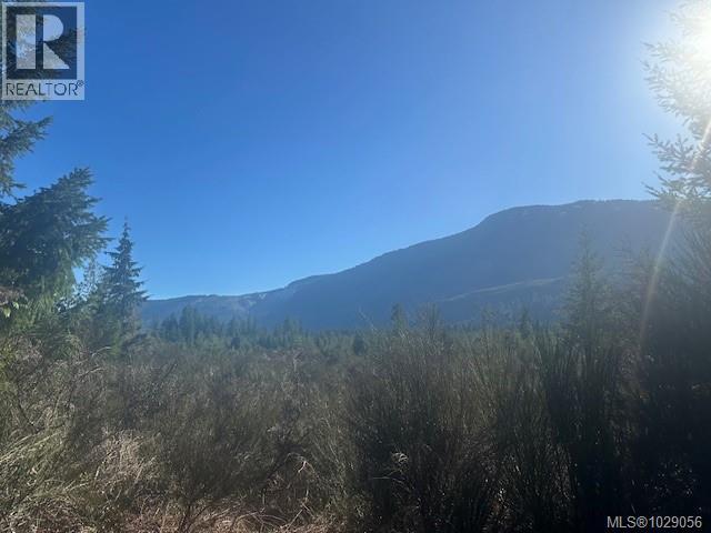 Block 200 Hudgrove Rd, Lake Cowichan, British Columbia  V0R 2G0 - Photo 7 - 1029056