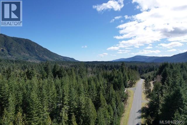 Block 200 Hudgrove Rd, Lake Cowichan, British Columbia  V0R 2G0 - Photo 8 - 1029056