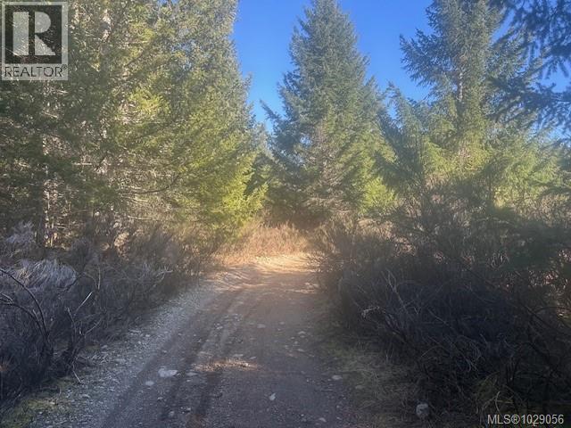 Block 200 Hudgrove Rd, Lake Cowichan, British Columbia  V0R 2G0 - Photo 6 - 1029056