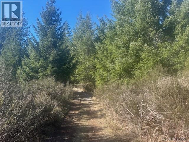 Block 200 Hudgrove Rd, Lake Cowichan, British Columbia  V0R 2G0 - Photo 5 - 1029056