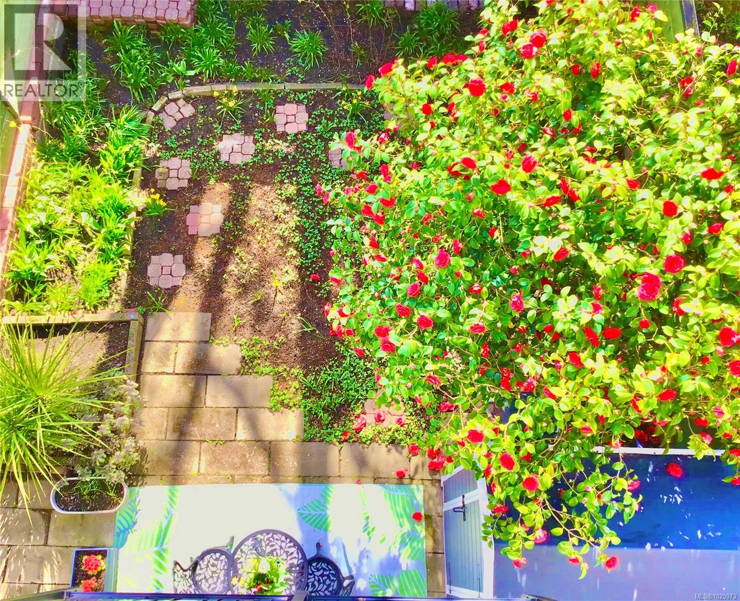 1541 North Dairy Rd, Victoria, British Columbia  V8T 3T9 - Photo 15 - 1025973