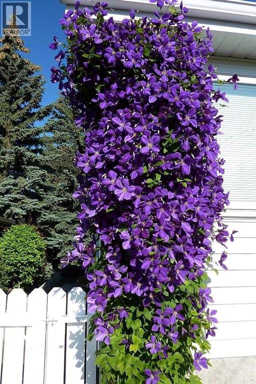 5820 Dalton Drive NW, Calgary, Alberta  T3A 1C6 - Photo 9 - A2294729