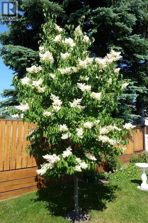 5820 Dalton Drive NW, Calgary, Alberta  T3A 1C6 - Photo 14 - A2294729