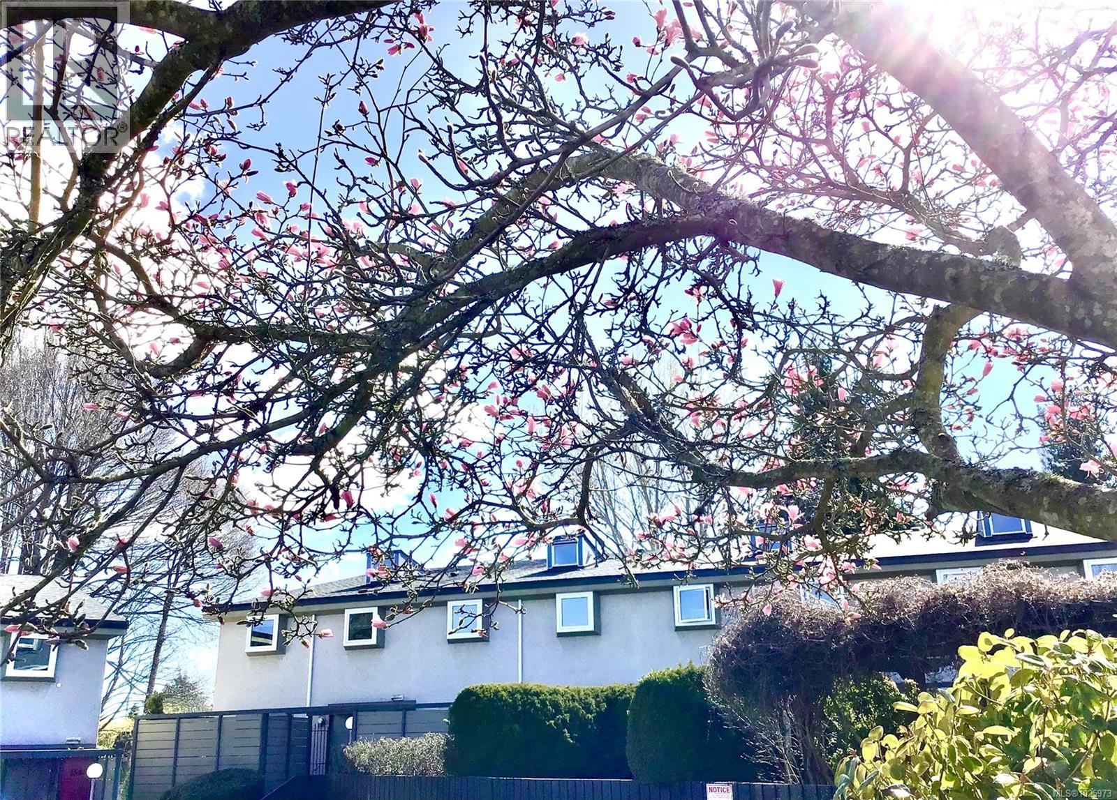 1541 North Dairy Rd, Victoria, British Columbia  V8T 3T9 - Photo 1 - 1025973