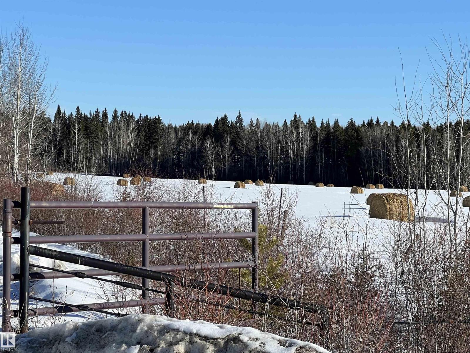 Se-12-49-8 W5m Brazeau County Se, Rural Brazeau County, Alberta  T0E 1Z0 - Photo 14 - E4478592