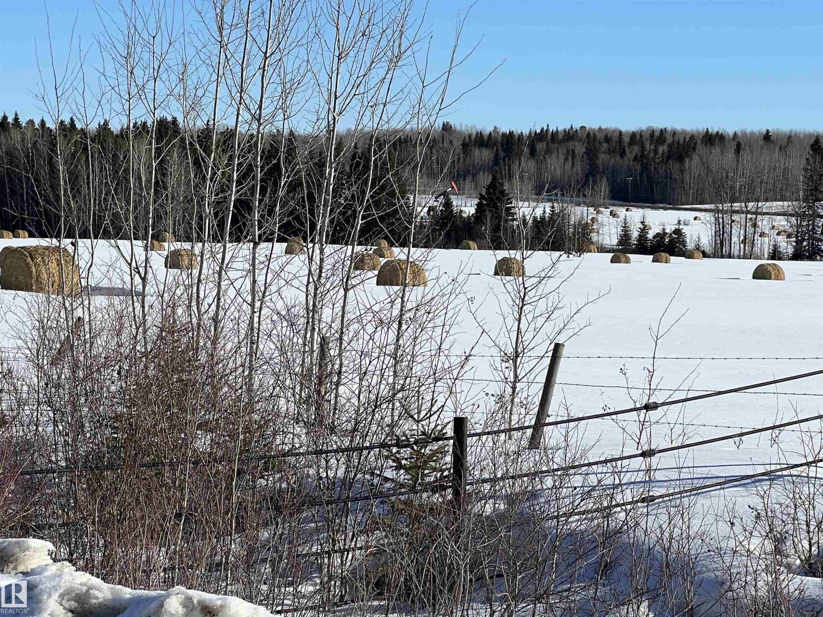 Se-12-49-8 W5m Brazeau County Se, Rural Brazeau County, Alberta  T0E 1Z0 - Photo 15 - E4478592