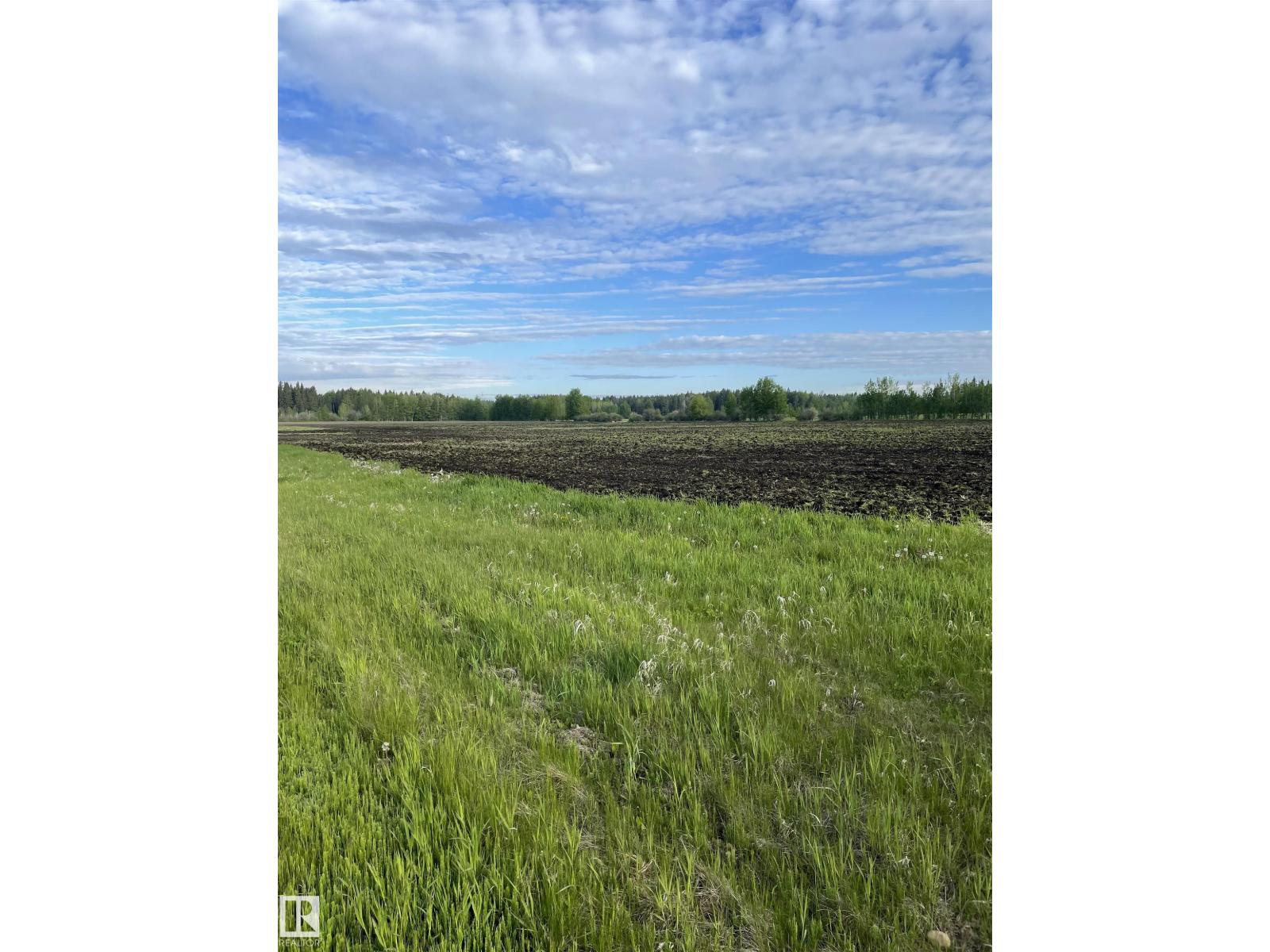 Se-12-49-8 W5m Brazeau County Se, Rural Brazeau County, Alberta  T0E 1Z0 - Photo 4 - E4478592