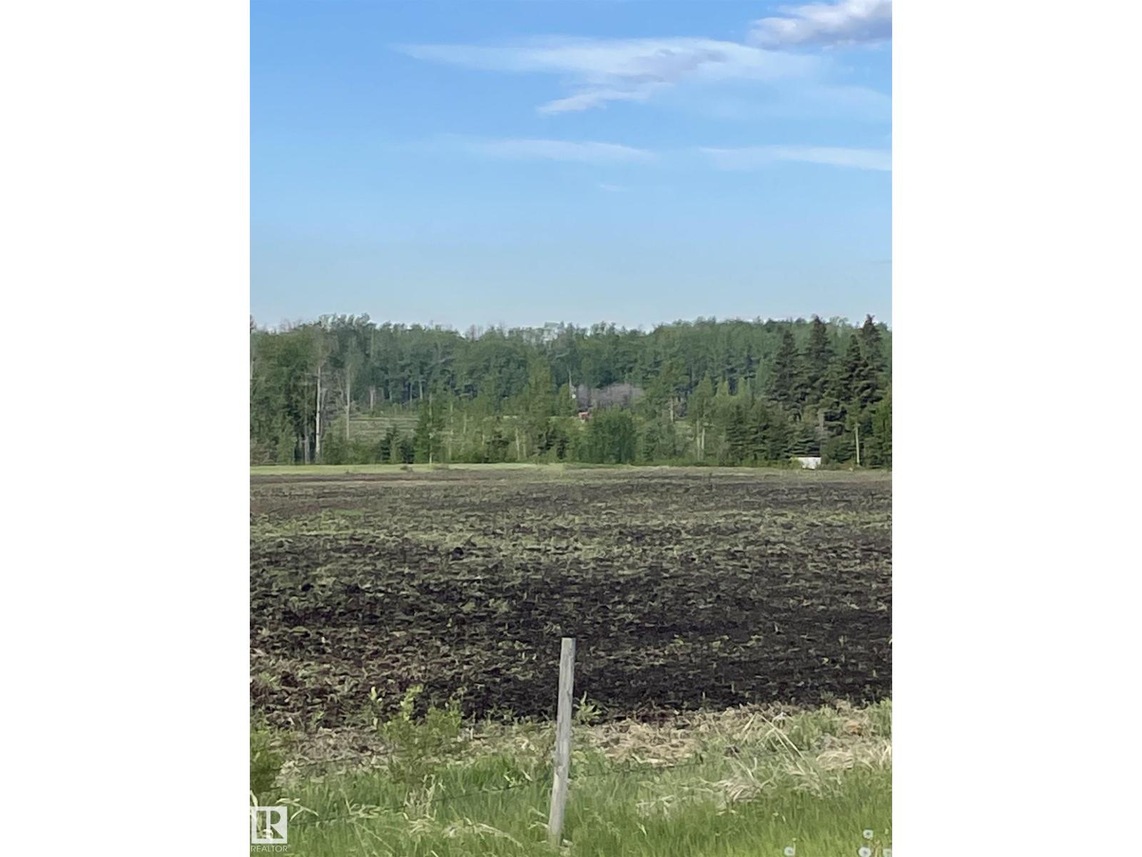 Se-12-49-8 W5m Brazeau County Se, Rural Brazeau County, Alberta  T0E 1Z0 - Photo 5 - E4478592