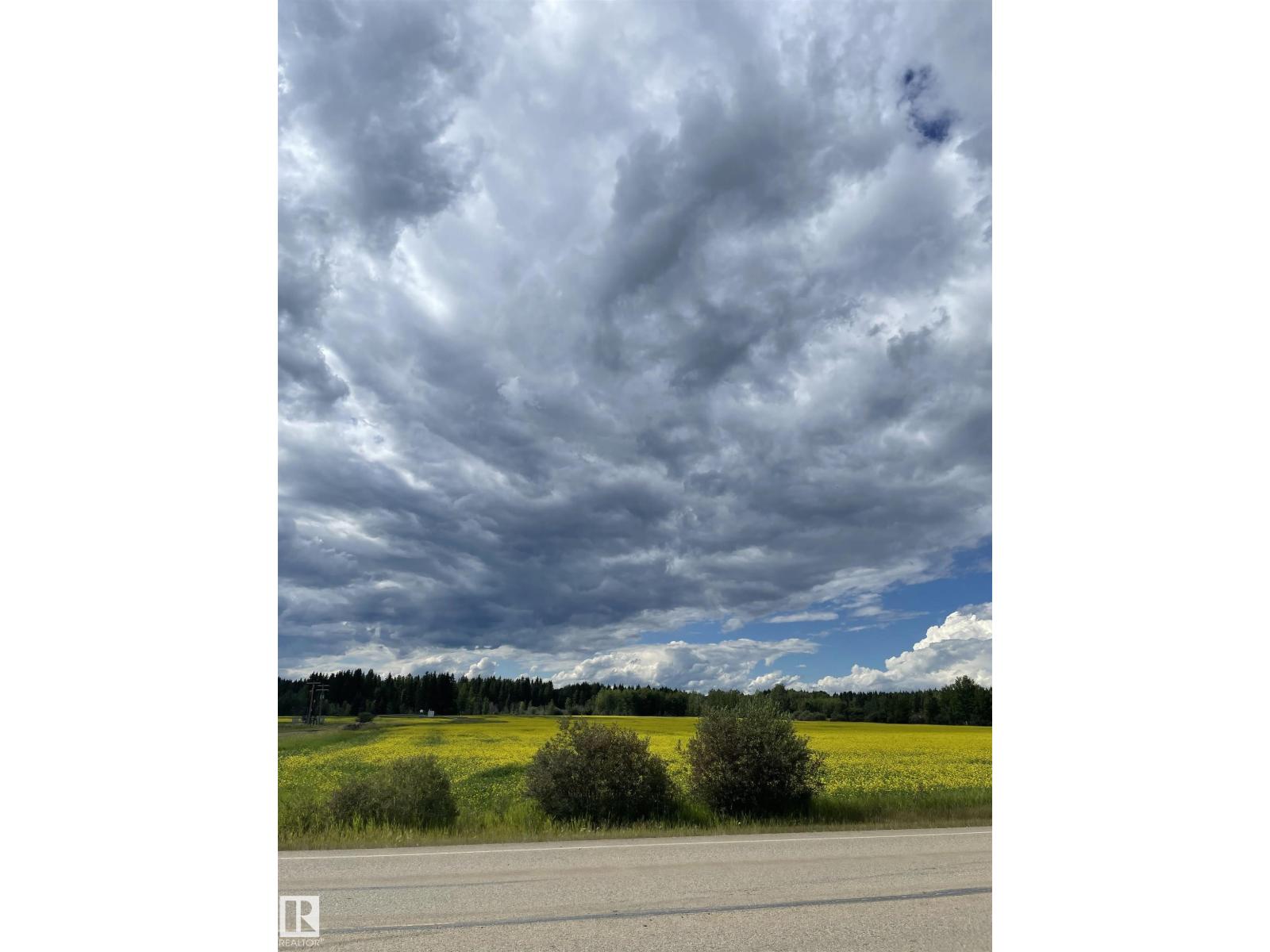 Se-12-49-8 W5m Brazeau County Se, Rural Brazeau County, Alberta  T0E 1Z0 - Photo 6 - E4478592