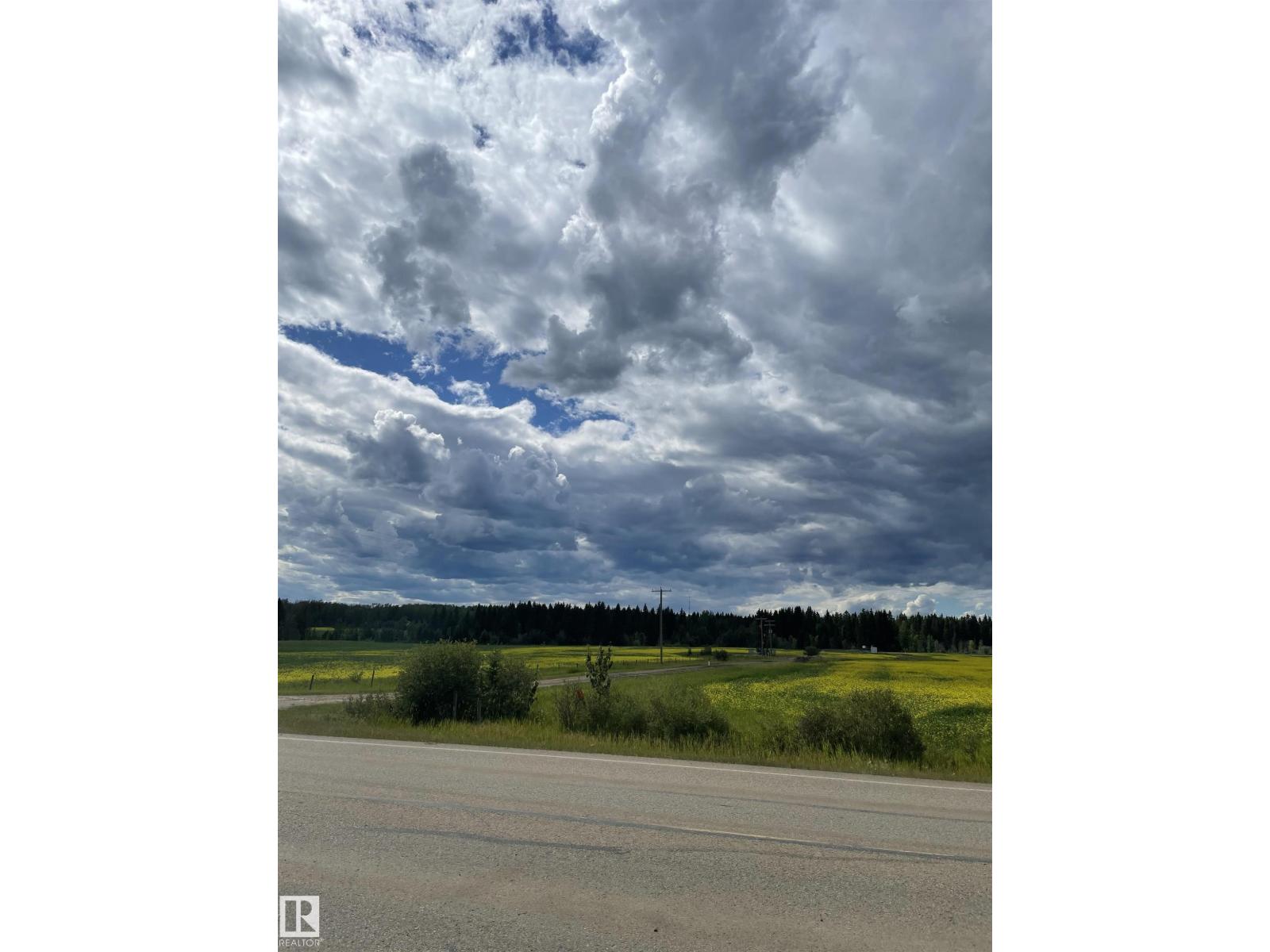 Se-12-49-8 W5m Brazeau County Se, Rural Brazeau County, Alberta  T0E 1Z0 - Photo 7 - E4478592