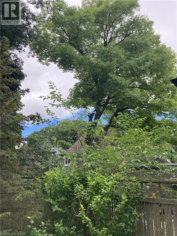 56 Churchill Drive, Cambridge, Ontario  N1S 1R6 - Photo 35 - 40811773