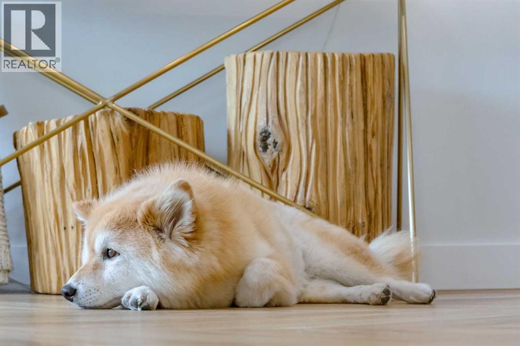 110, 8445 Broadcast Avenue SW, Calgary, Alberta  T3H 4C7 - Photo 4 - A2256289