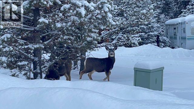 151, 5227 Township Road 320, Rural Mountain View County, Alberta  T0M 1X0 - Photo 47 - A2292992