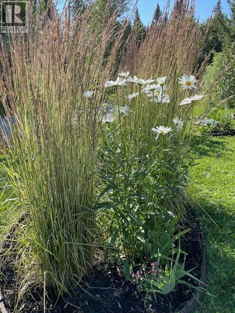 151, 5227 Township Road 320, Rural Mountain View County, Alberta  T0M 1X0 - Photo 38 - A2292992