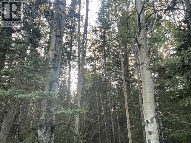 151, 5227 Township Road 320, Rural Mountain View County, Alberta  T0M 1X0 - Photo 45 - A2292992