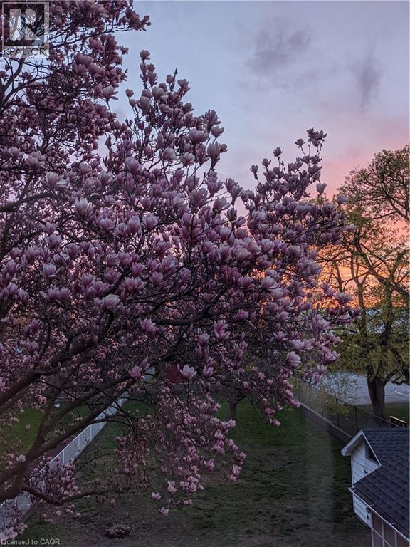 3935 St Peter Avenue, Niagara Falls, Ontario  L2J 2N9 - Photo 37 - 40813693