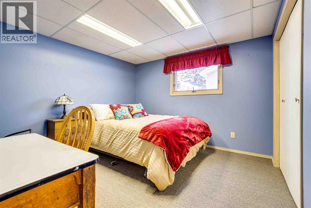 824 6 Avenue NE, Three Hills, Alberta  T0M 2A0 - Photo 30 - A2293512