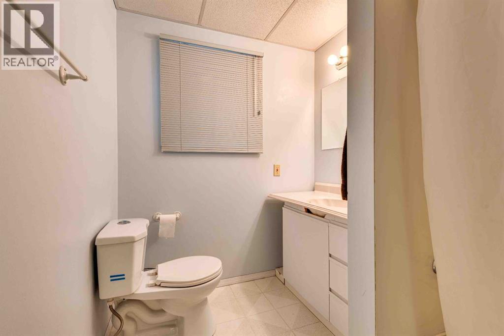 824 6 Avenue NE, Three Hills, Alberta  T0M 2A0 - Photo 34 - A2293512