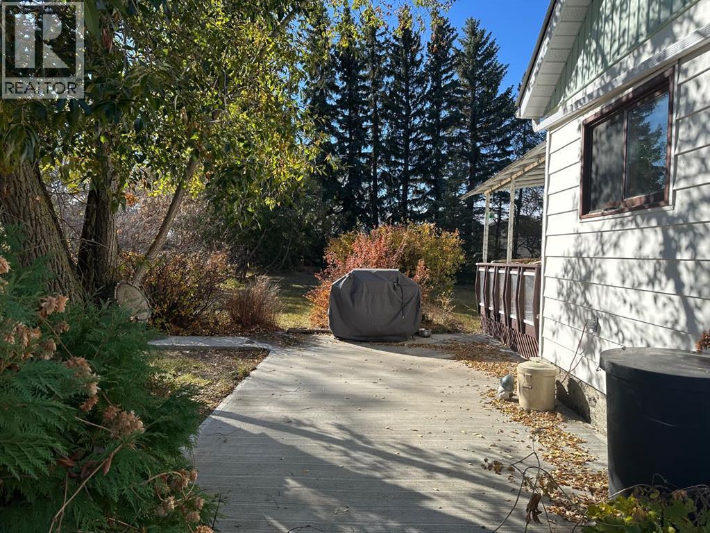 4819 50th Alley N, Amisk, Alberta  T0B 0B0 - Photo 3 - A2267400