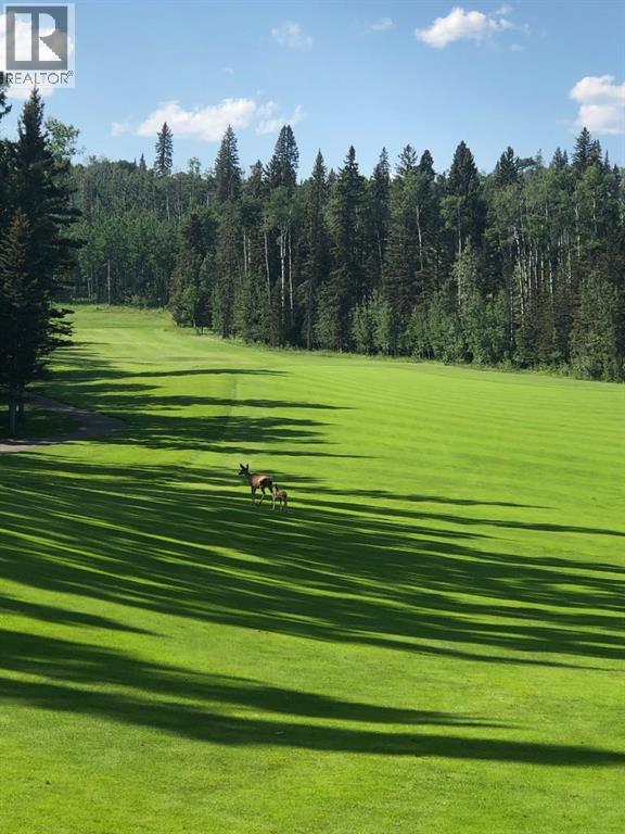 38 Sunrise Way, Priddis Greens, Alberta  T0L 1W3 - Photo 7 - A2294080