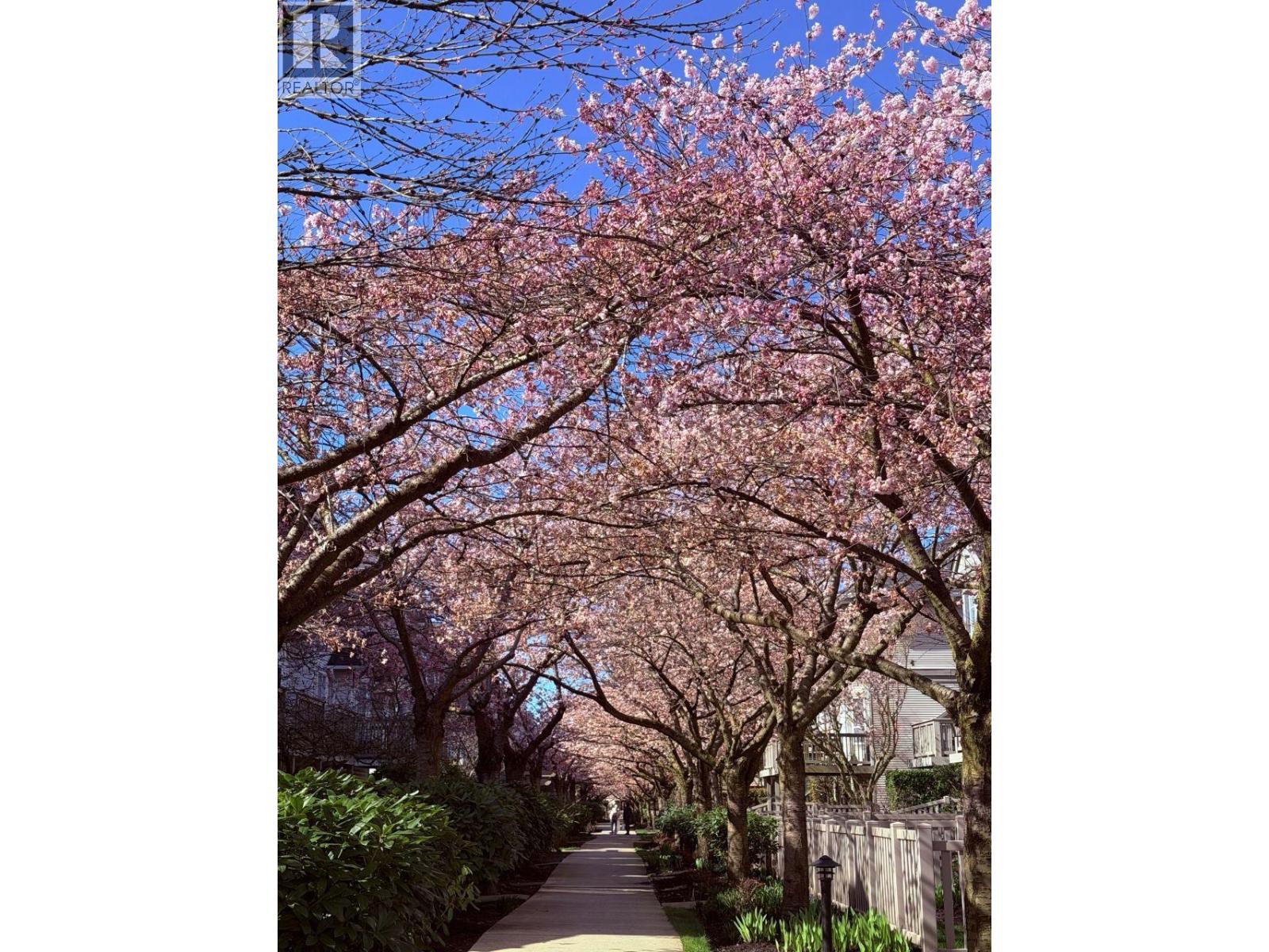 32 6179 No. 1 Road, Richmond, British Columbia  V7C 1T4 - Photo 23 - R3092387