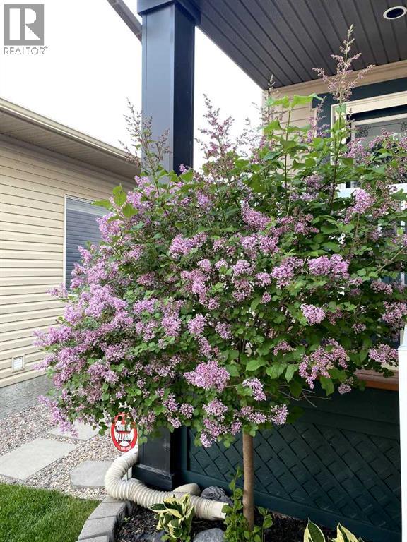 2033 Sagewood Point Sw, Airdrie, Alberta  T4b 3P1 - Photo 36 - A2293088