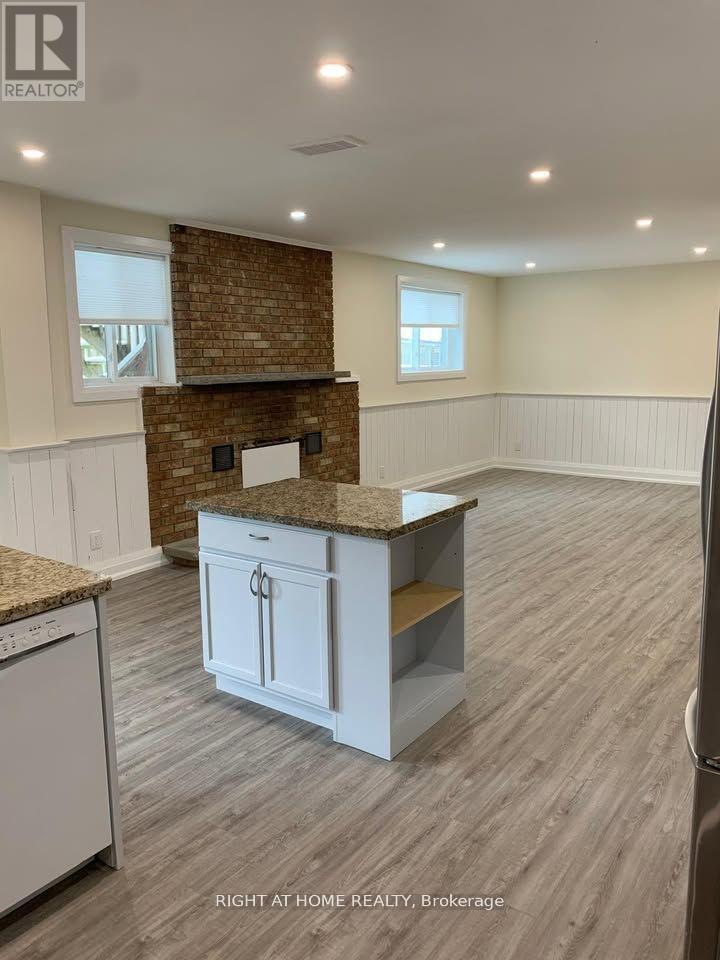 Basement - 1482 Old Forest Road, Pickering, Ontario  L1V 1N9 - Photo 8 - E12906866