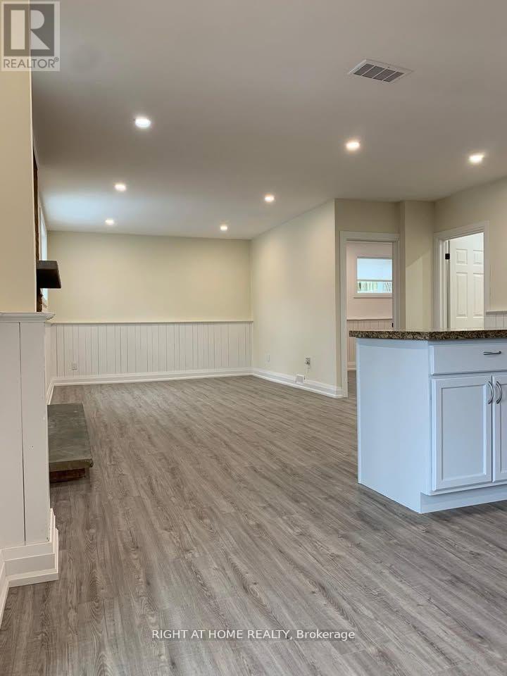 Basement - 1482 Old Forest Road, Pickering, Ontario  L1V 1N9 - Photo 5 - E12906866