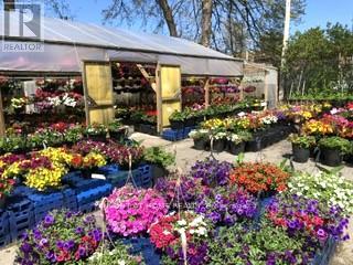 48 Main Street E, Port Colborne, Ontario  L3K 1S1 - Photo 16 - X12906546