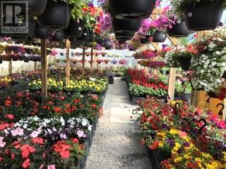 48 Main Street E, Port Colborne, Ontario  L3K 1S1 - Photo 18 - X12906546