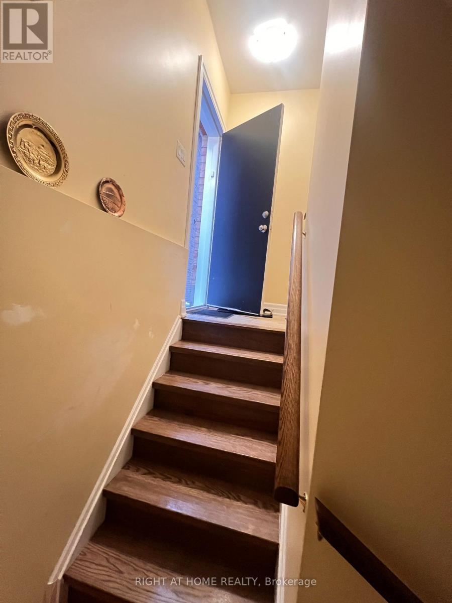 Basement - 17 Asterfield Drive E, Toronto, Ontario  M1E 0B4 - Photo 2 - E12907032