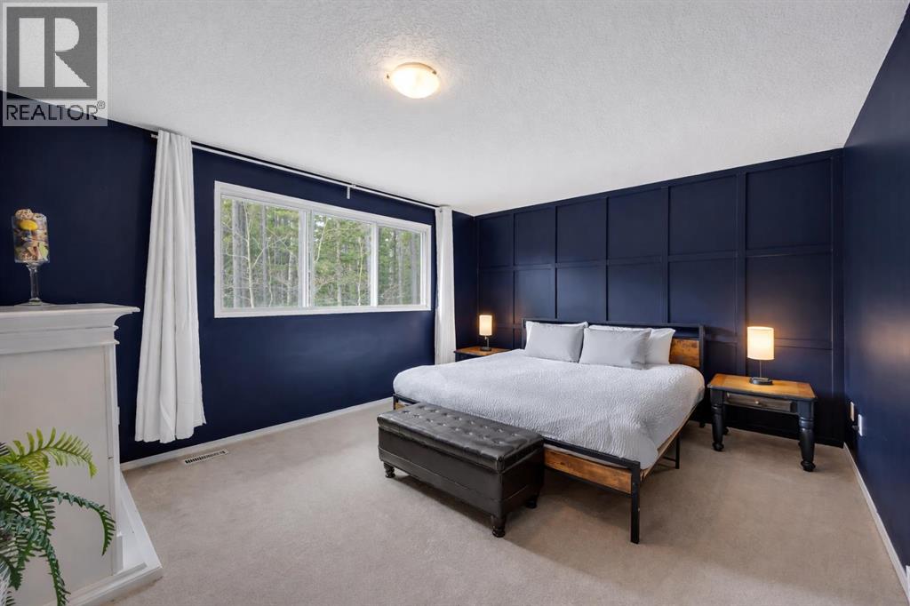 336207 Leisure Lake Drive W, Rural Foothills County, Alberta  T0L 1W2 - Photo 22 - A2295240