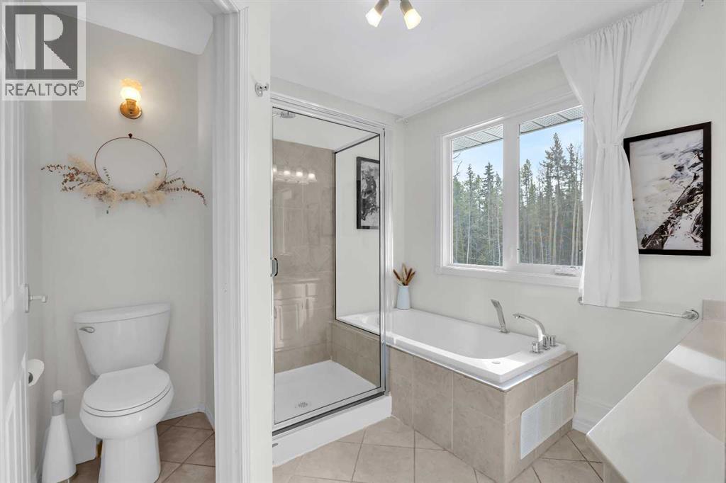 336207 Leisure Lake Drive W, Rural Foothills County, Alberta  T0L 1W2 - Photo 25 - A2295240